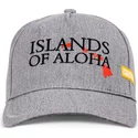 casquette-courbee-grise-ajustable-islands-of-aloha-coastal