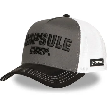 Capsule Corporation