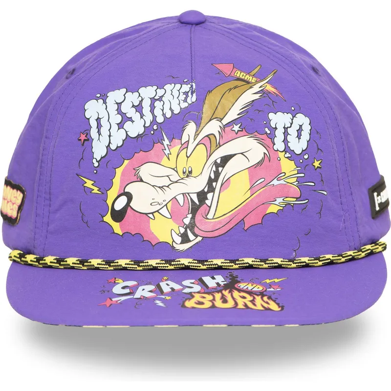 casquette-plate-violette-snapback-coyote-loo13-dtcb-looney-tunes-capslab